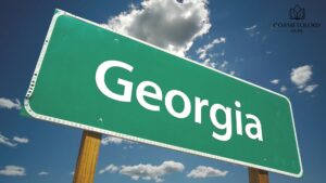 Georgia Online Application Licensing System